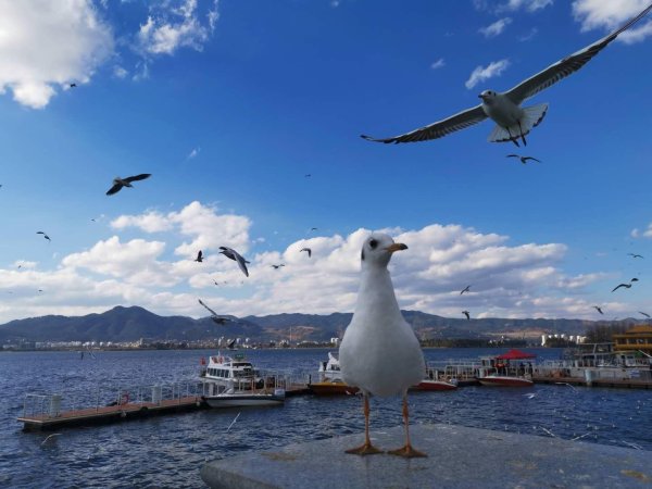 广州华鑫 财大气粗、专业“实用”，这些“第四代”大学正崛起